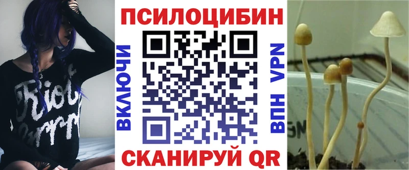 Галлюциногенные грибы GOLDEN TEACHER  магазин  наркотиков  Эртиль 